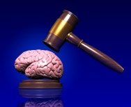 Brain Damage and your Legal Rights