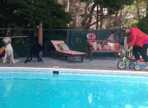 A person slip and falling into swimming pool