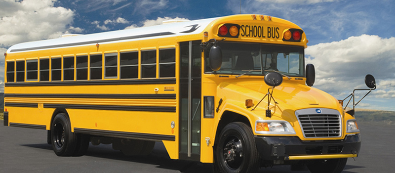 School bus parked in a school parking lot. Contact Conte and Associates today for more information. Offices located in Whitby. 